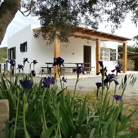 Sa Vinya Casa De Campo Es Cubells Exterior photo